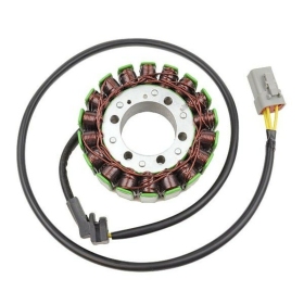 ELECTROSPORT generatorius Cam Am 2004-21
