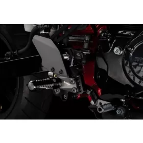 GILLES TOOLING Adjustable Rearset Honda ST 125 23-25