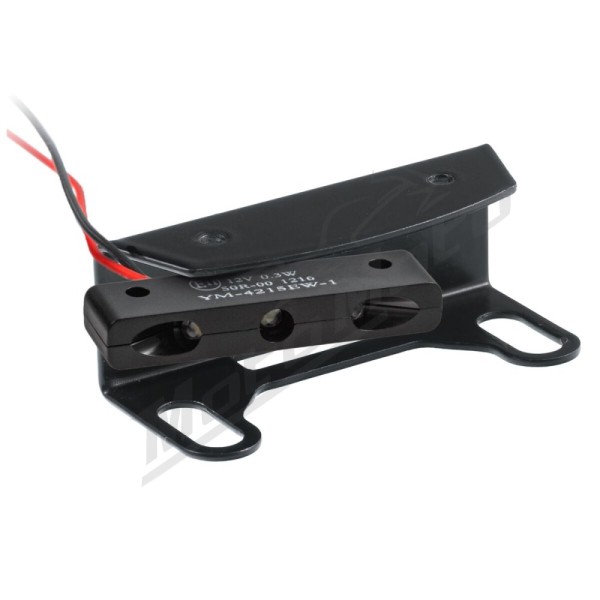 ZIEGER PRO License Plate Holder Type D Ducati Monster 796-1100 09-14