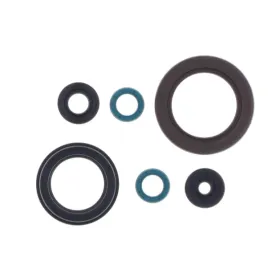 Athena set of engine seals YAMAHA FZS 600 FAZER 98-03