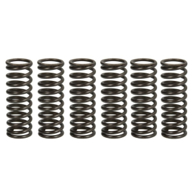 TRW Clutch springs set Suzuki LT-R 450 06-12