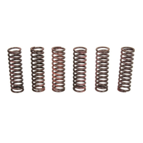 TRW Clutch springs set Yamaha YZF-R6 600 08-20