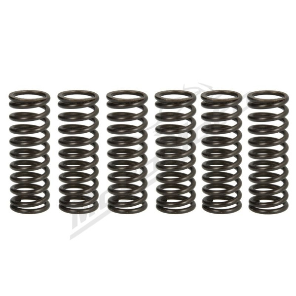 TRW Clutch springs set Suzuki LT-R 450 06-12