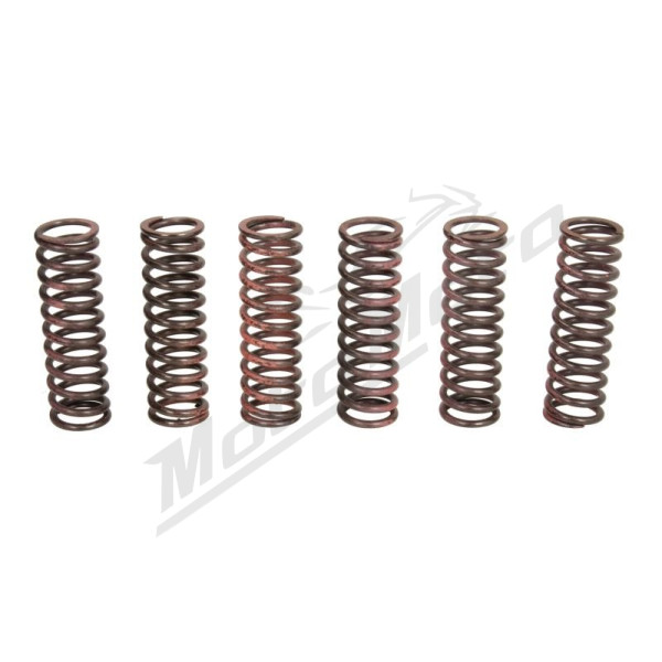 TRW Clutch springs set Yamaha YZF-R6 600 08-20