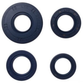 Oil seals 20x47x7 / 20x35x7 / 22x35x7 / 20x30x7 4vnt.
