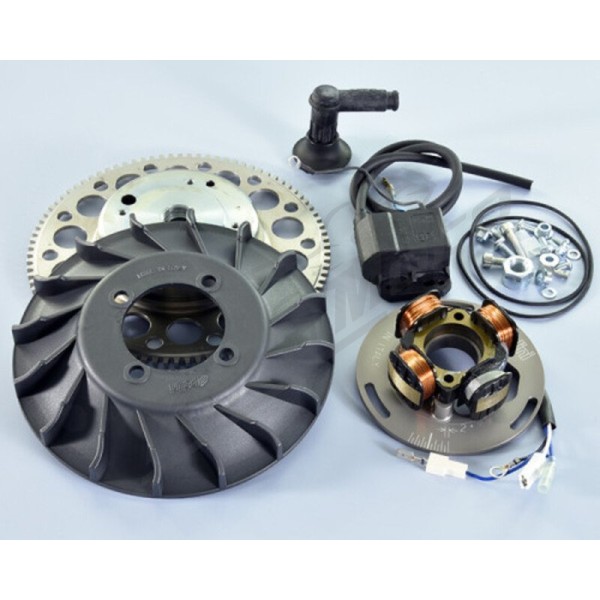 POLINI Degimo komplektas Vespa PE / PX / Sprint Veloce 125-200cc 69-16