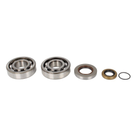 4Ride Crankshaft Bearing Kit GAS GAS EC 200 2003-2004