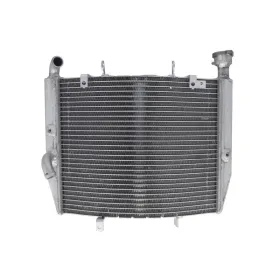 4Ride Radiator TRIUMPH DAYTONA 675 2013-2016