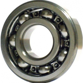 Bearing (open type) FAG 6003 17x35x10