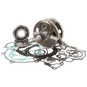 HOT RODS Bottom end repair kit Yamaha YZ 450F 06-09