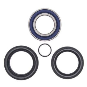 ALL BALLS priekinių ratų guolių rinkinys Honda TRX 450-680 98-14