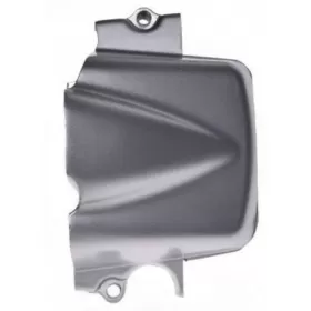 Engine cover CHINESE ATV / CROSS 250cc