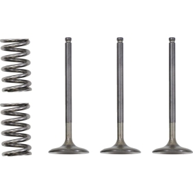 PROX Intake Valve and Spring Kit Gas Gas / Yamaha 450 03-25