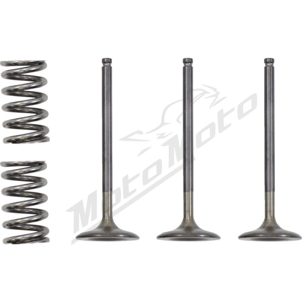 PROX Įsiurbimo vožtuvo ir spyruoklių kompl. Gas Gas / Yamaha 450 03-25