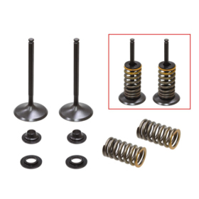Psychic intake valves set (35.98x5.42x83.68mm) YAMAHA YZF 450 10-13