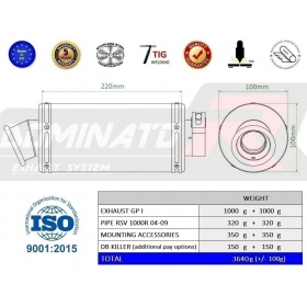 Exhausts silincers Dominator GP1 APRILIA RSV 1000R 2004-2009