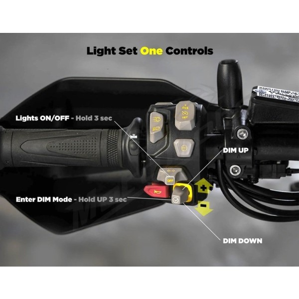 DENALI Cansmart Kit DL2 Clear Lens Triumph Tiger 900/1200 20-25