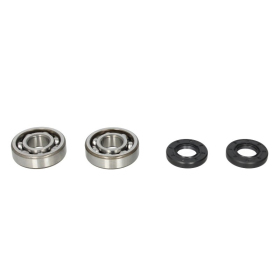 ALL BALLS Crankshaft bearings set with gaskets Cobra / Kawasaki / Suzuki 60-100 82-17