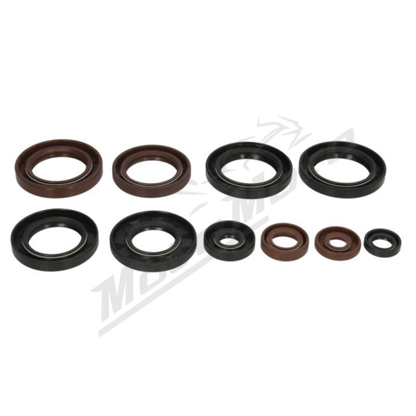 Winderosa Engine gaskets set (quantity per set 10 pcs) Can Am Commander / Defender / Outlander / Renegade / Maverick 500-1000 11-24