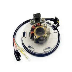 Electrex Generatorius Suzuki RM 125-250cc 94-96