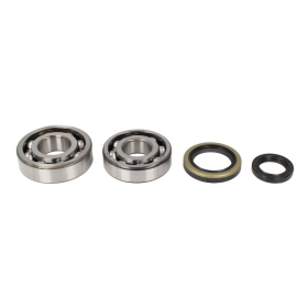 4Ride Crankshaft Bearing Kit SUZUKI RM-X 250 1989-1994