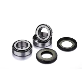 FACTORY LINKS Galinio rato guolių rinkinys BMW F650GS / F700GS / F800GS / F800GT / F800R 650-800cc 00-20