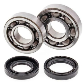 ALL BALLS Crankshaft Bearing & Oil Seal Kit YAMAHA YFS 200 90-07