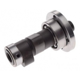 Camshaft ATV BASHAN 250