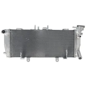 Radiator 4RIDE BMW R 1200-1250cc 2014-2024