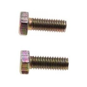 Bolts M6x1 (length 16mm) 2pcs