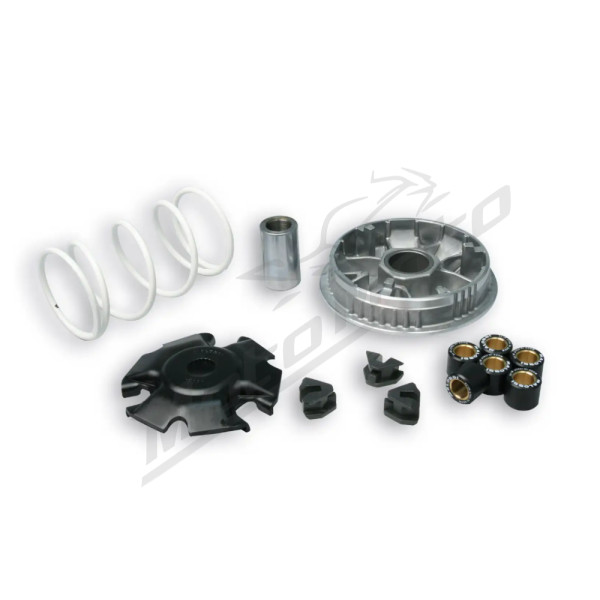 Variatorius MALOSSI Maxi Multivar 2000 Gilera / Malaguti / Piaggio 180-200cc 00-07 H2O 4T