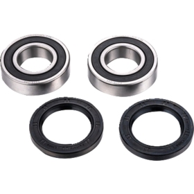 FACTORY LINKS Rear Axle Bearing Kit CF Moto Force / CF / Rancher 500/600 08-18