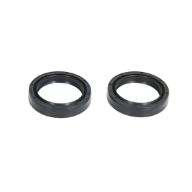 ALL BALLS Tepalo riebokšliai 43x5x9,5/10,5 Aprilia / BMW / Moto Guzzi / Sherco 125-1000cc 1987-2015