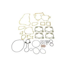 Artein Gaskets engine gaskets set Beta RR 250-300cc 13-25