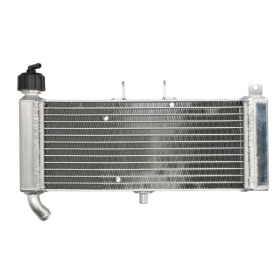 4Ride Radiator APRILIA RS4 125 2011-2017