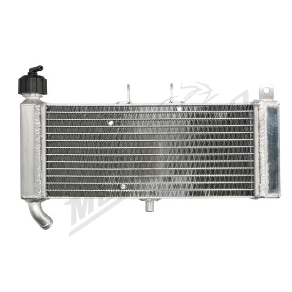 4Ride Radiator APRILIA RS4 125 2011-2017