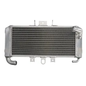 4Ride Radiator YAMAHA FZS 600 1998-2004