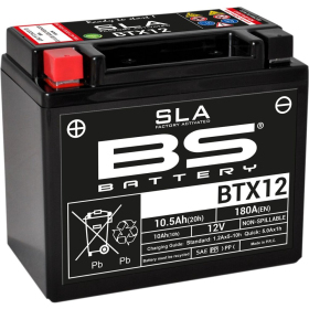 BS BATTERY SLA Factory- Activated AGM Maintenance-Free Battery BTX12 12V 10Ah