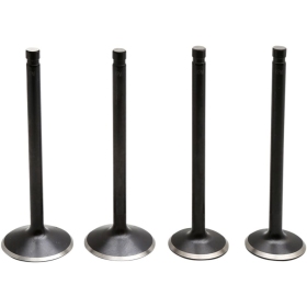 KIBBLEWHITE Black Diamond™ Engine Valve Kit Harley Davidson XL / XLH 883 86-03