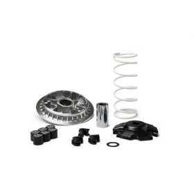 Variatoriaus kompl. MALOSSI Maxi Multivar Yamaha N-Max / X-Max 125cc 4T 21->