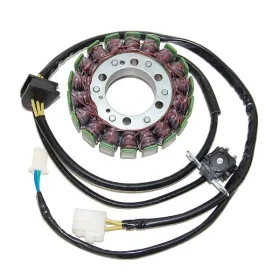 ELECTROSPORT Stator Suzuki VS / S50 800-805 96-09