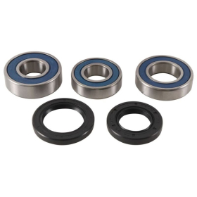 ALL BALLS Rear Wheel Bearing And Seal Kit Gas Gas EC 125-300 13-14