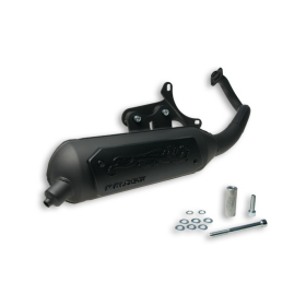 Exhaust MALOSSI Wild Lion Aprilia / Gilera / Piaggio 50 98-20 2T