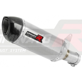 Exhaust silincer Dominator HP1 BMW S1000R 2021-2022