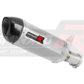 Exhaust silincer Dominator HP1 BMW S1000R 2021-2022