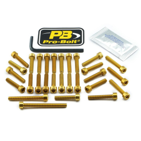 PRO BOLT Aluminium Engine Bolt Kit For Kawasaki Z 800cc 13-16