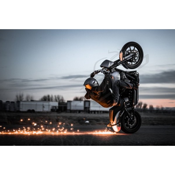 GALFER "Cubiq™" Galinis stabdžių diskas Harley Davidson FL / FX / XL 883-1923cc 08-24