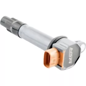 WSM Replacement Coil Sea-Doo Fish Pro / GTI / GTR / GTS / GTX / RXT / RXP / Spark / Wake 90-300 17-22