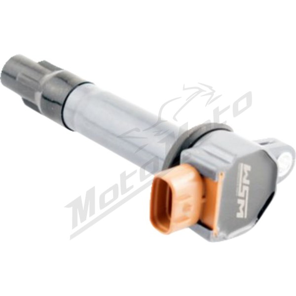WSM Replacement Coil Sea-Doo Fish Pro / GTI / GTR / GTS / GTX / RXT / RXP / Spark / Wake 90-300 17-22