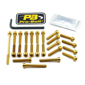PRO BOLT Aluminium Engine Bolt Kit For Suzuki GSX-R 1000cc 17-25